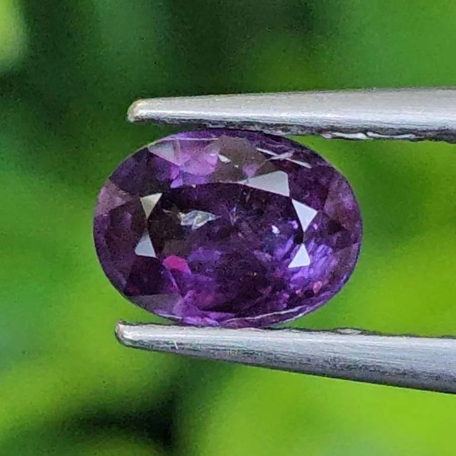 เพอเพิลแซฟไฟร์ Purple Sapphire