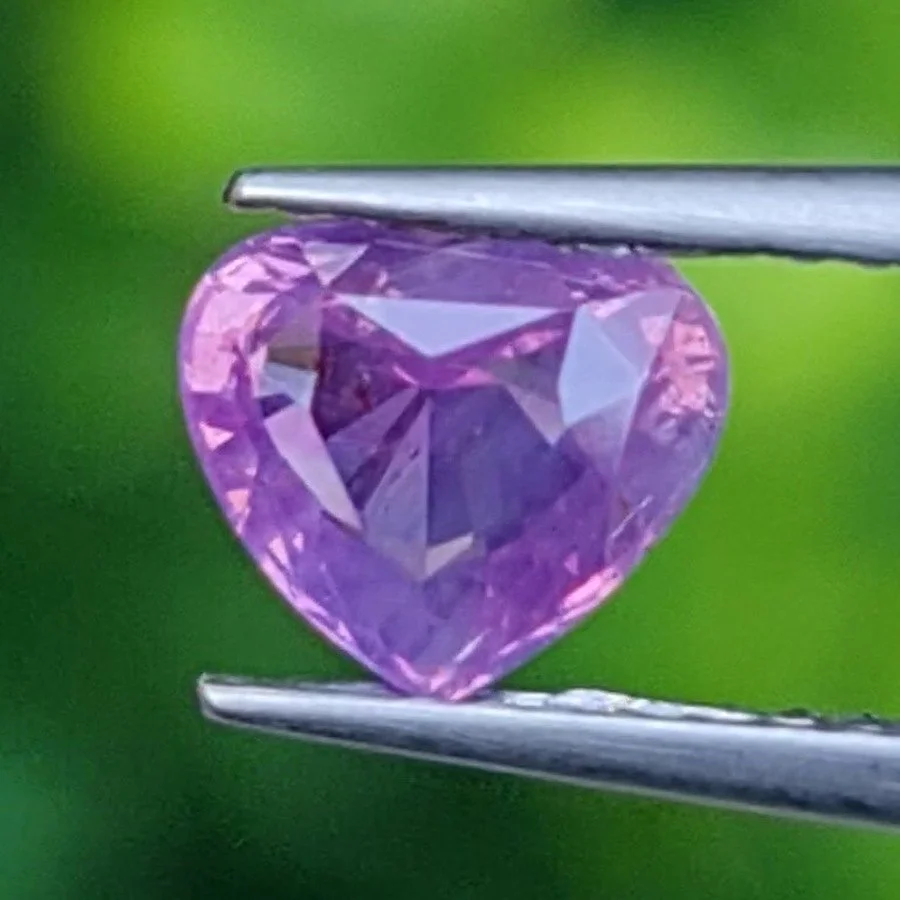 เพอเพิลแซฟไฟร์ Purple Sapphire