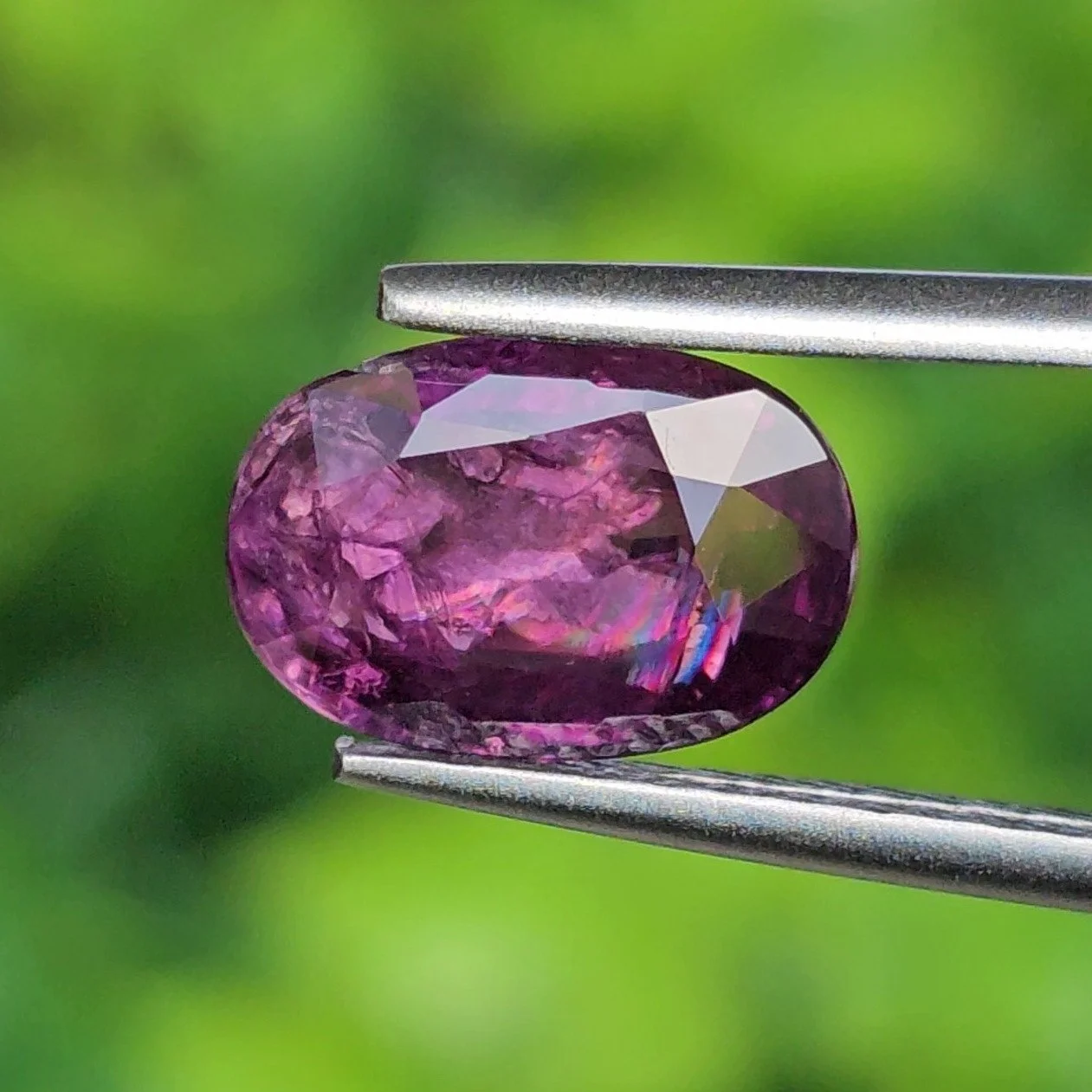 เพอเพิลแซฟไฟร์ Purple Sapphire