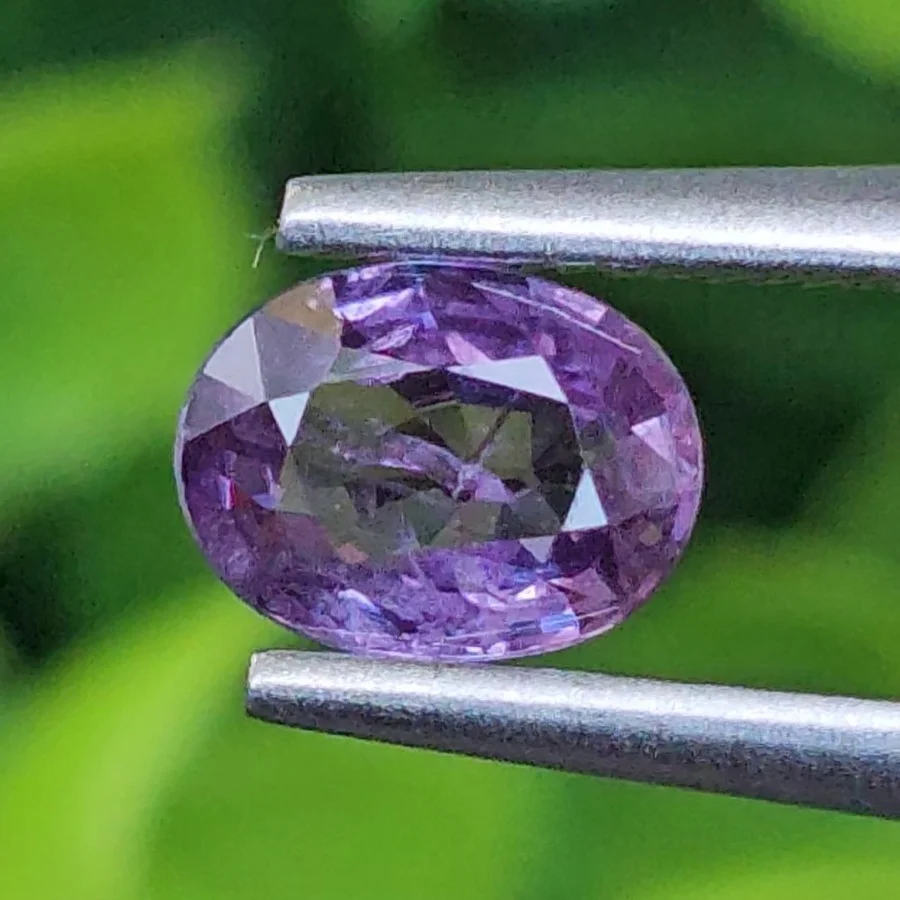 เพอเพิลแซฟไฟร์ Purple Sapphire