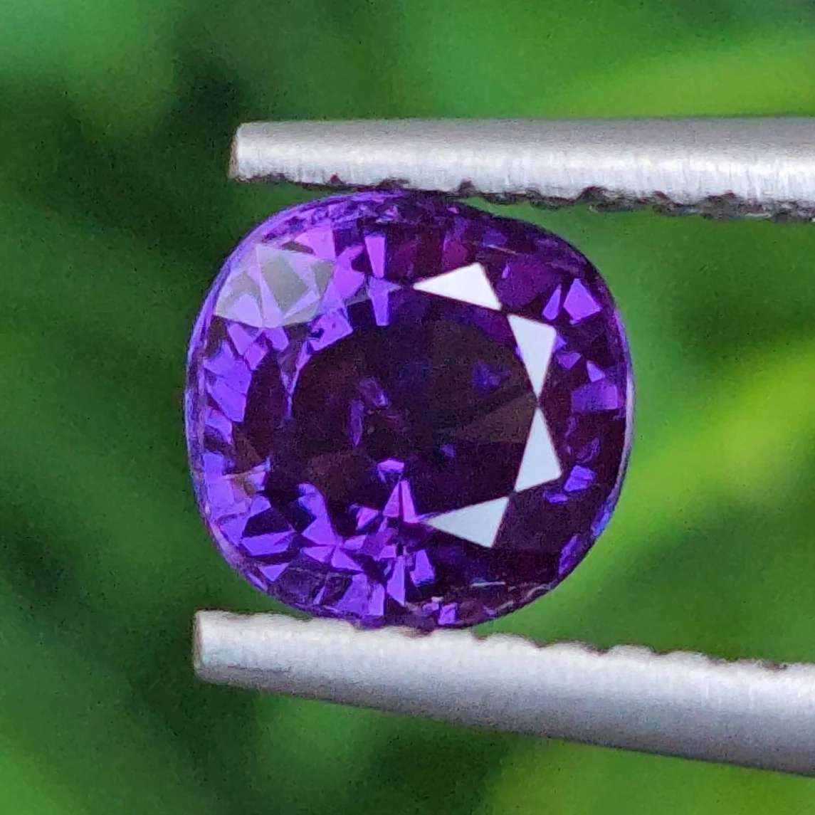 เพอเพิลแซฟไฟร์ Purple Sapphire