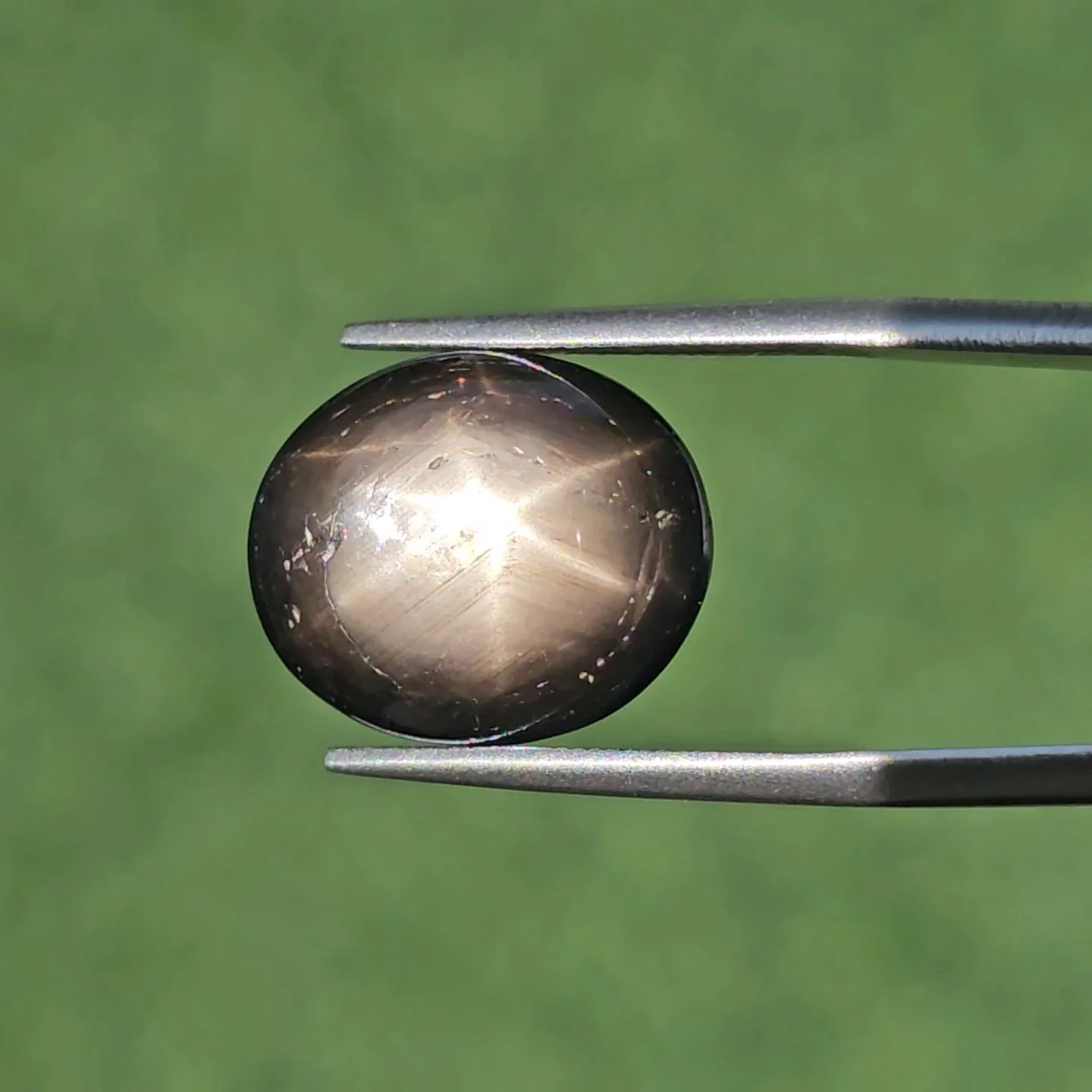 แบล็ค สตาร์ แซฟไฟร์ Black Star Sapphire