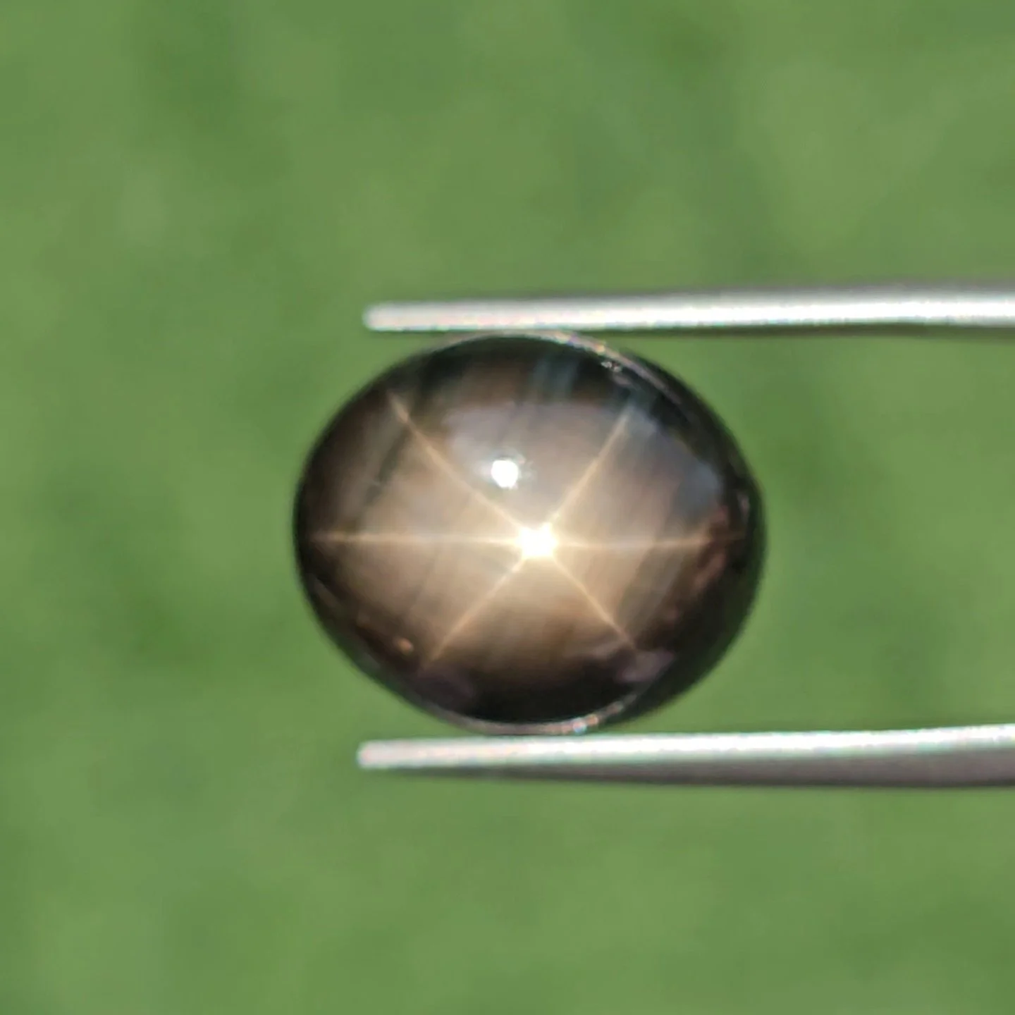 แบล็ค สตาร์ แซฟไฟร์ Black Star Sapphire