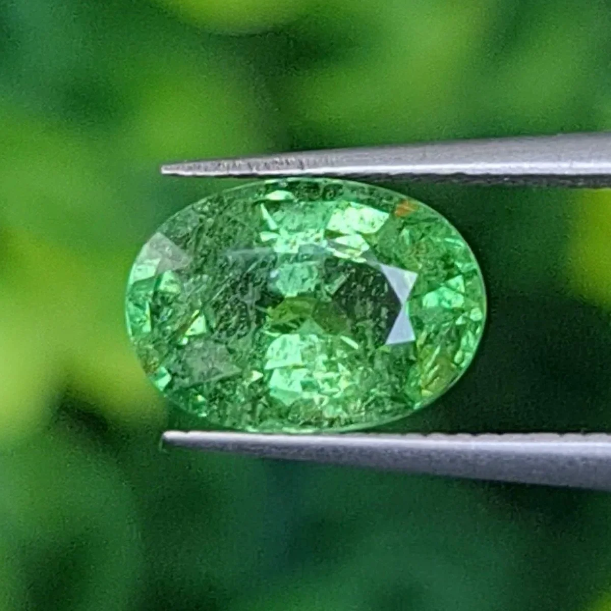 ซาโวไรท์ Tsavorite Garnet