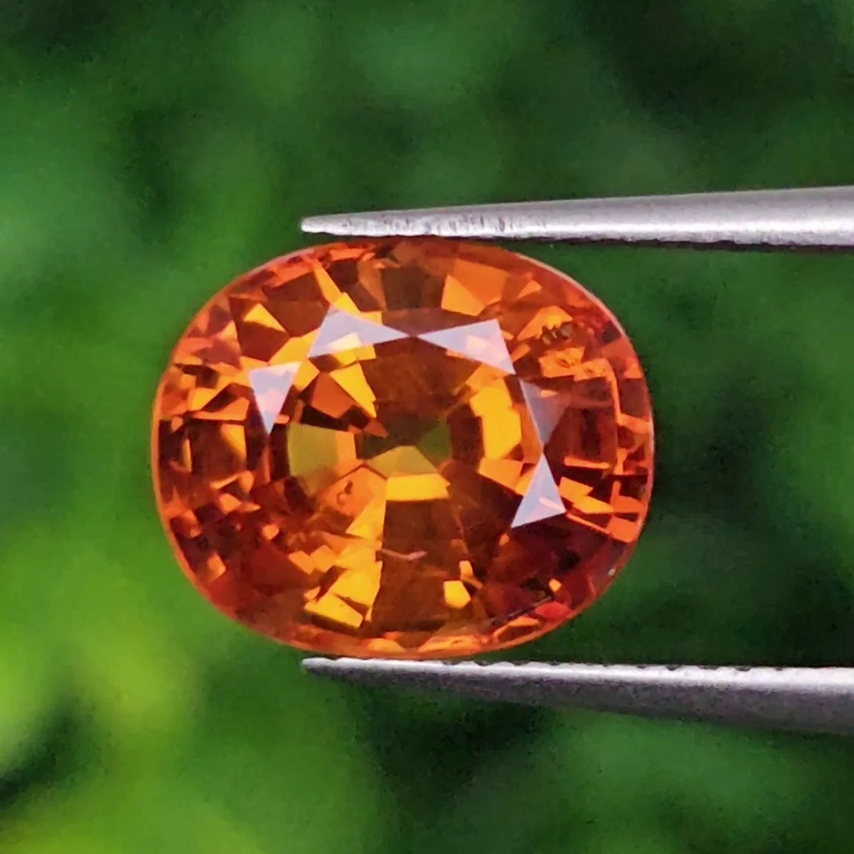 บุษราคัม Yellow Sapphire
