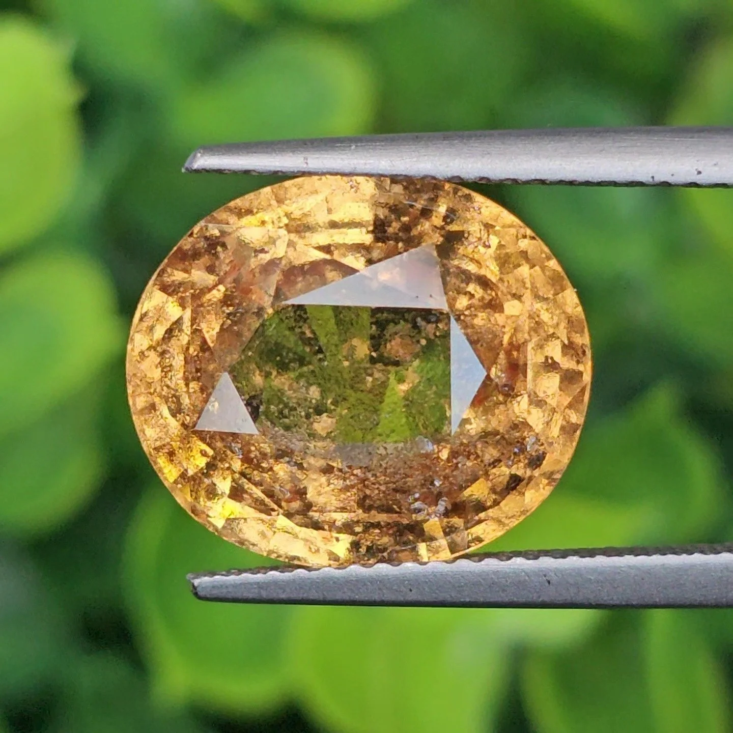 กรอสซูลาร์ การ์เน็ต Grossular Garnet