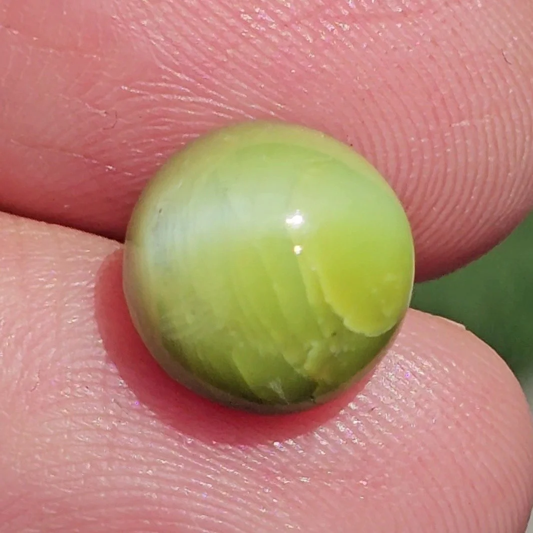 ตาแมว คริโซเบริล Cat's Eye Chrysoberyl