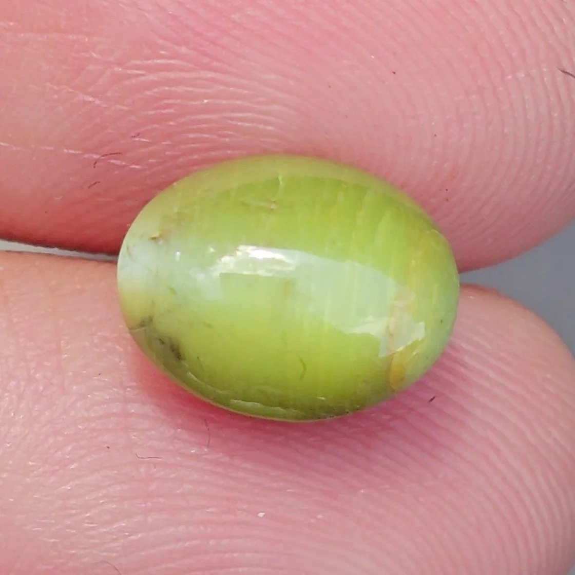 Cat's Eye Chrysoberyl