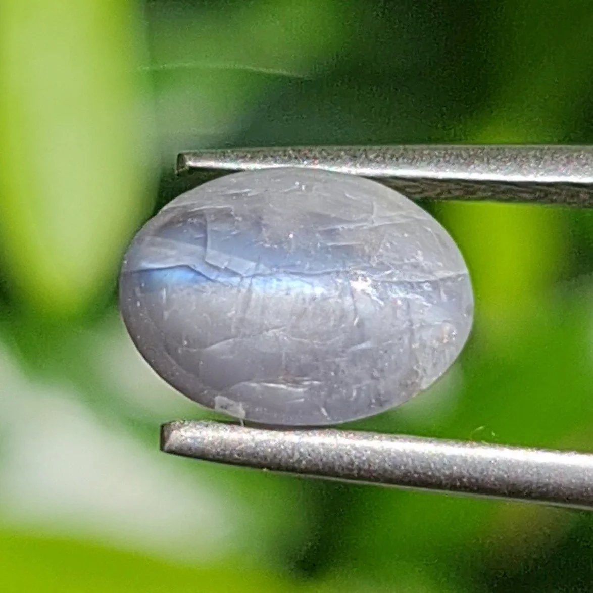 ตาแมว อเล็กซานไดร์ Cat's Eye Alexandrite