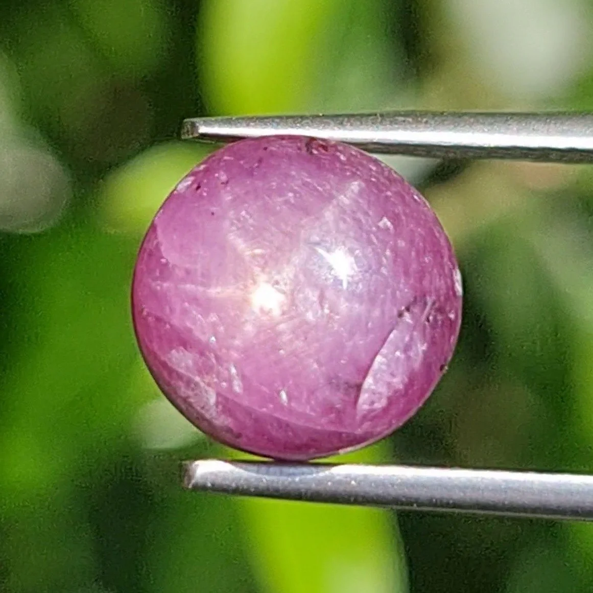 Star Ruby