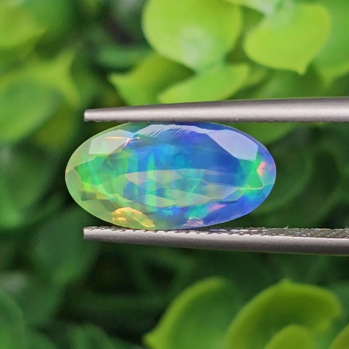 โอปอล 2 สี Bi-Color Opal