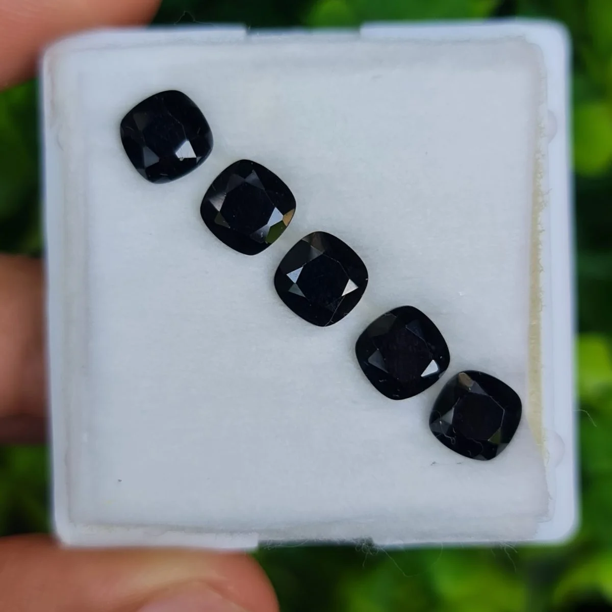 แบลค แซฟไฟร์ Black Sapphire