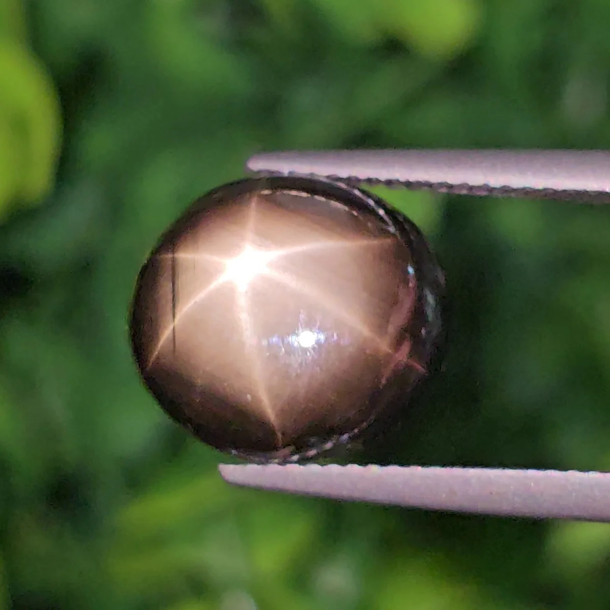 Star Sapphire
