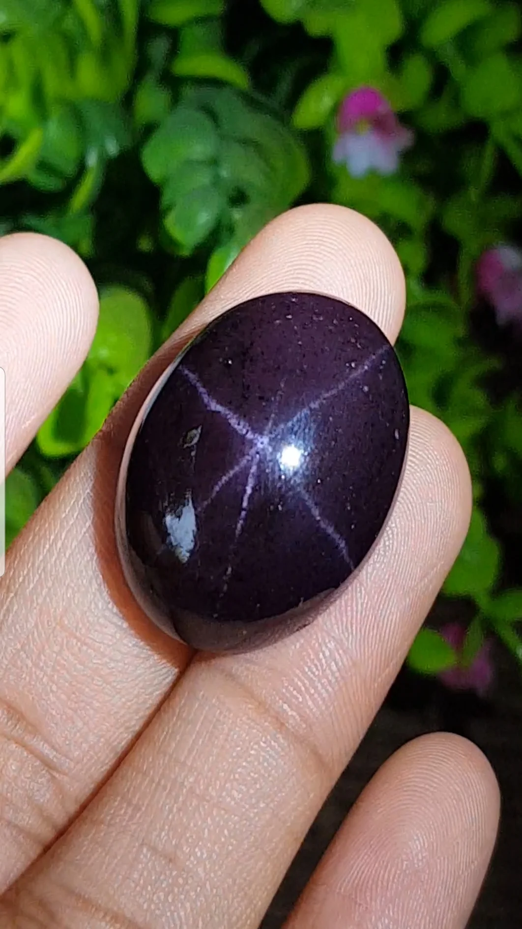 Star Garnet
