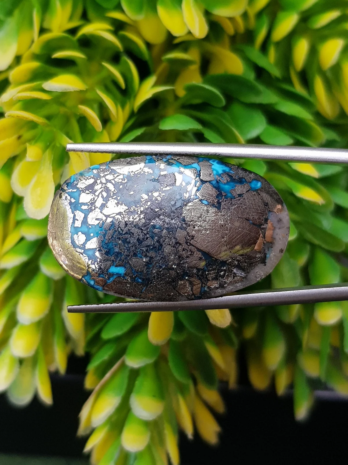 Turquoise