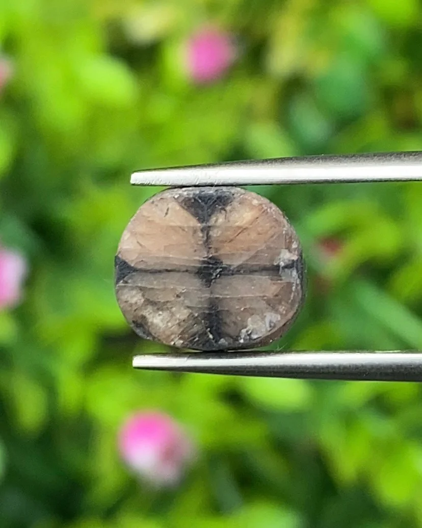 ไคแอสโทไลต์ (Chiastolite)